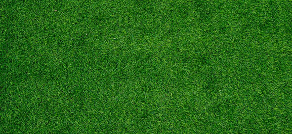 Artificial grass from the top.